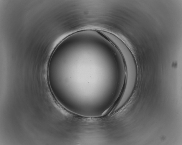 X0000091090862200708201456