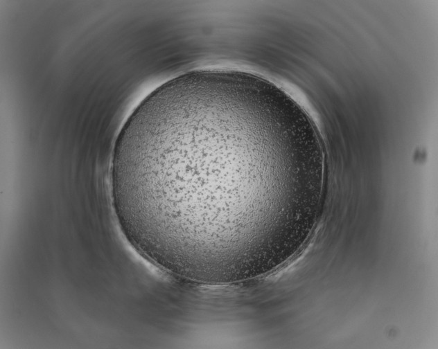 X0000091090863200708201456