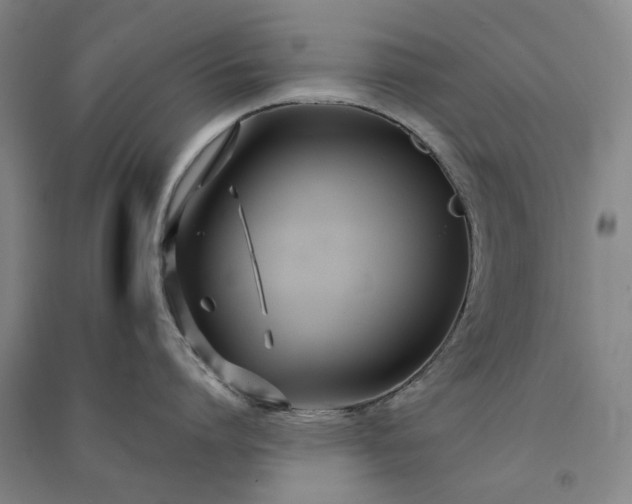 X0000091090864200708201456