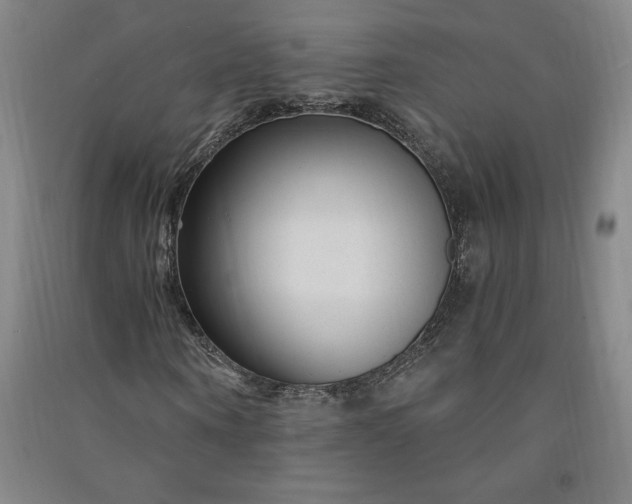 X0000091090866200708201455