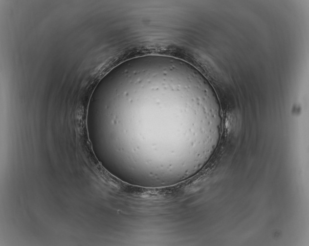 X0000091090867200708201455