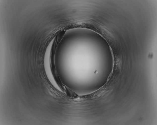 X0000091090868200708201455