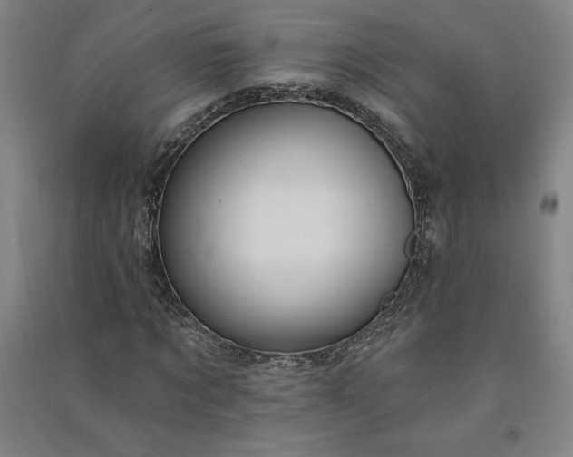 X0000091090869200708201455