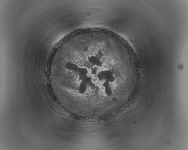 X0000091090871200708201455