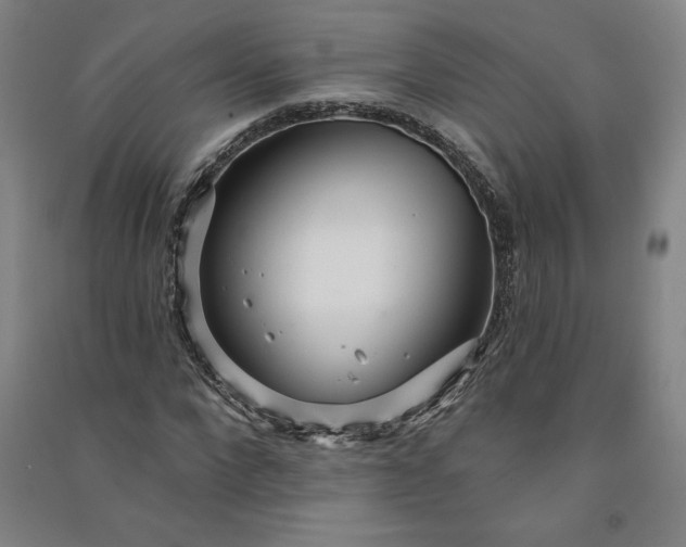 X0000091090872200708201455