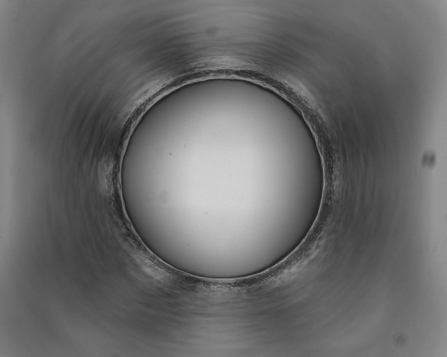 X0000091090873200708201455