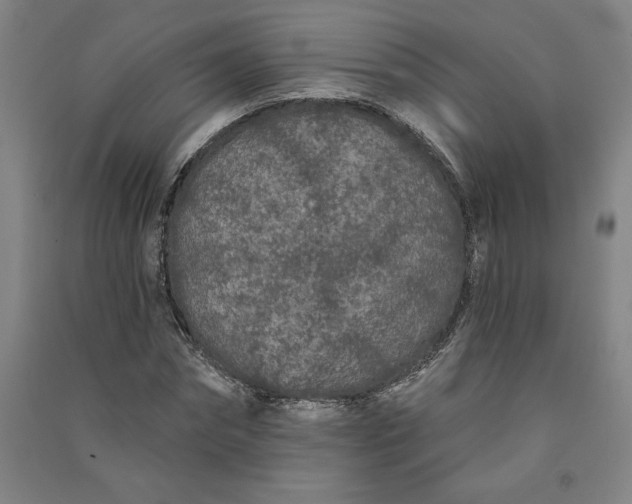 X0000091090874200708201455