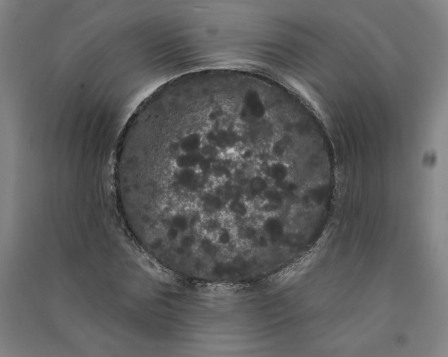 X0000091090875200708201455