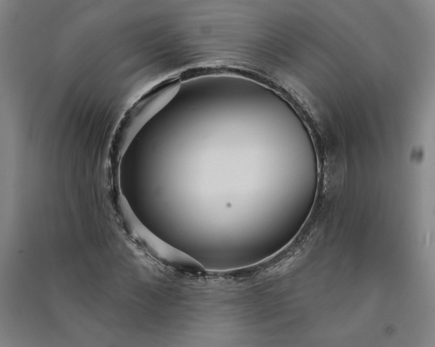 X0000091090876200708201455