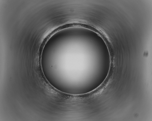 X0000091090877200708201455