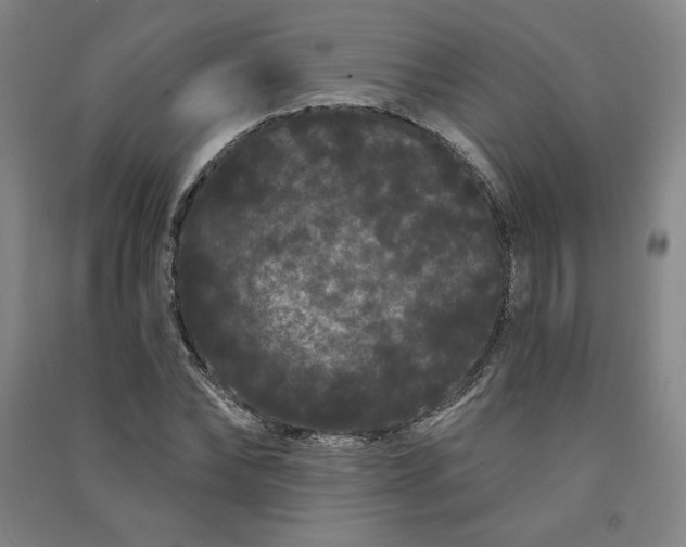 X0000091090878200708201455