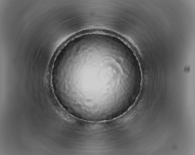 X0000091090879200708201455