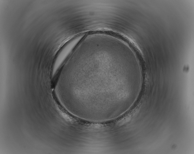 X0000091090881200708201455