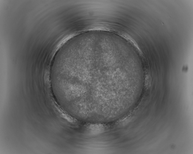 X0000091090882200708201455