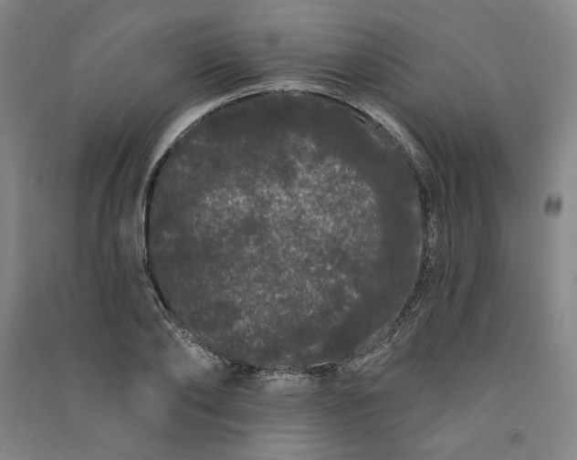 X0000091090886200708201455