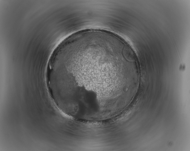 X0000091090887200708201455