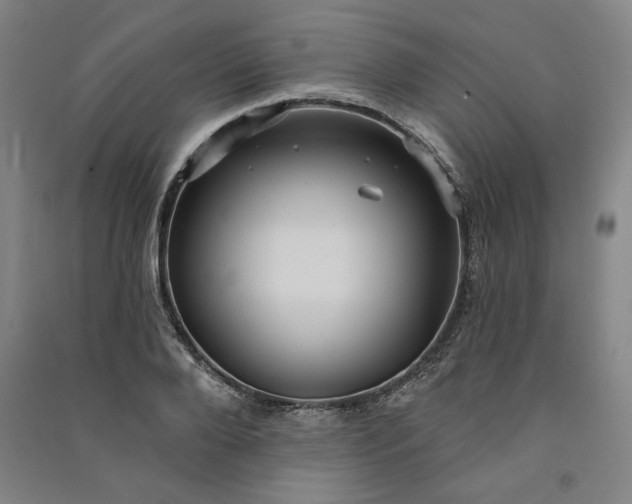 X0000091090888200708201455