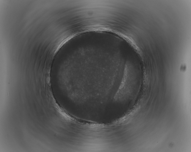 X0000091090889200708201455