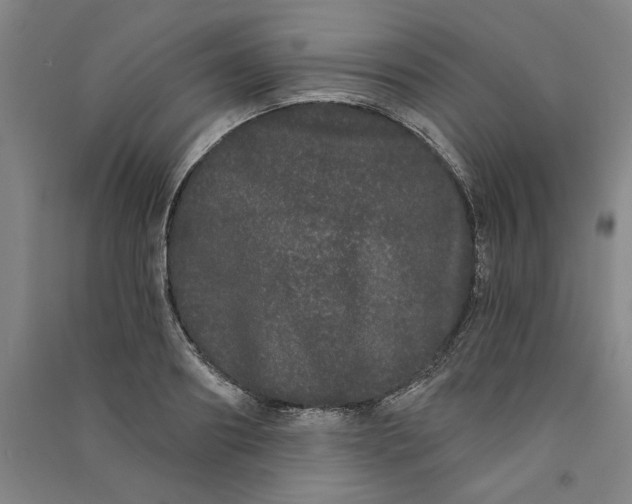 X0000091090890200708201455