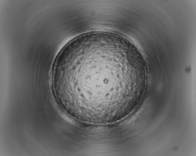 X0000091090891200708201455