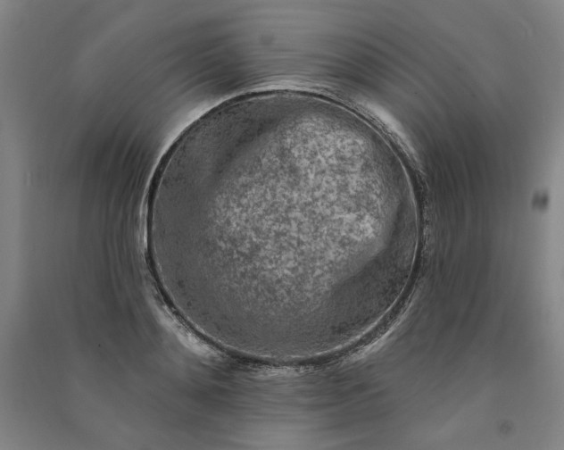 X0000091090892200708201455