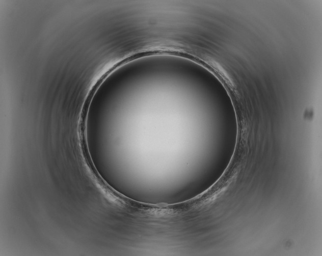 X0000091090893200708201455