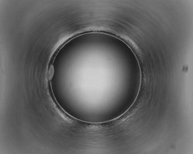 X0000091090894200708201455