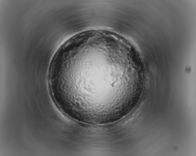 X0000091090895200708201455