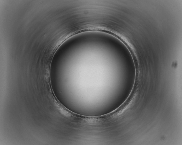 X0000091090897200708201455