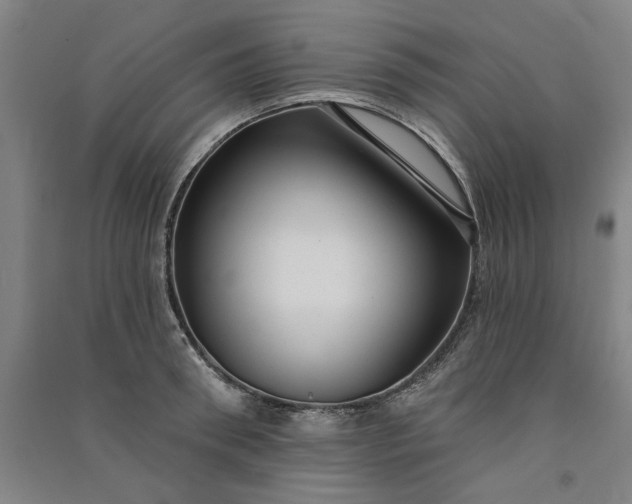 X0000091090898200708201455