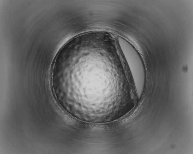 X0000091090899200708201455