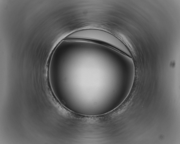 X0000091090900200708201455