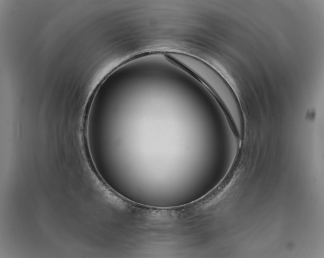 X0000091090901200708201455