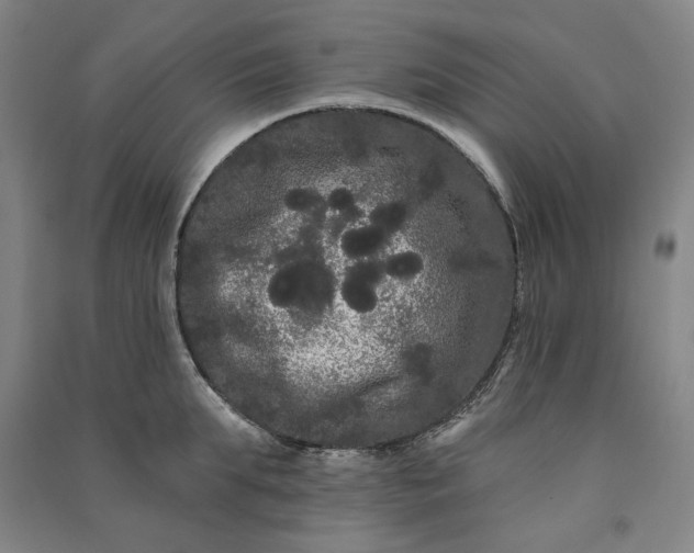 X0000091090903200708201455