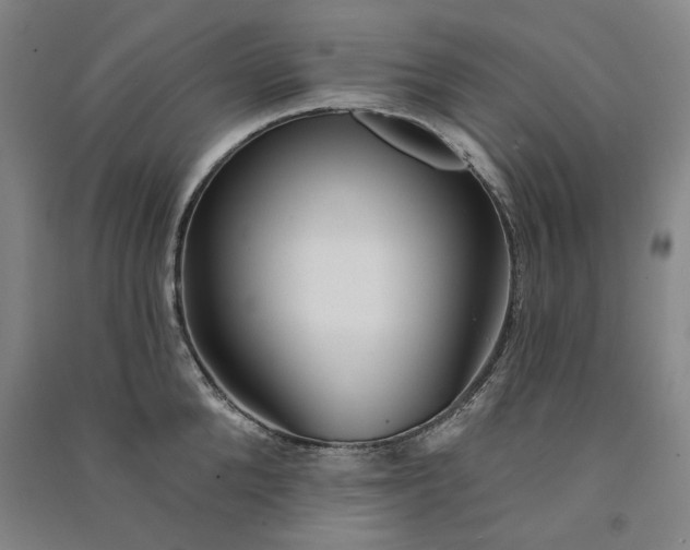 X0000091090904200708201455