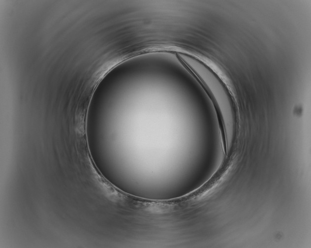 X0000091090905200708201454