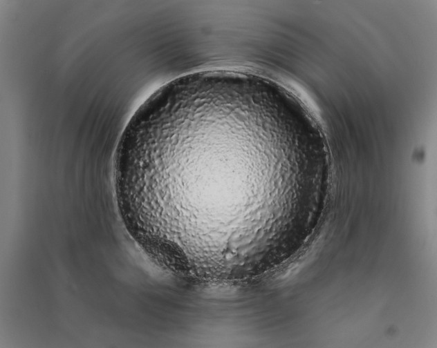 X0000091090907200708201454