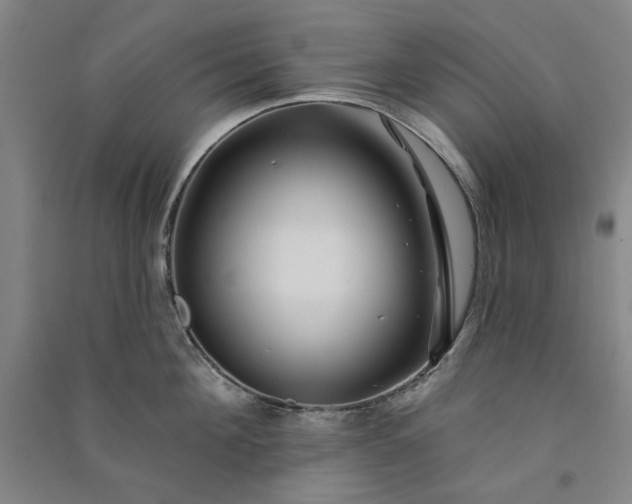 X0000091090908200708201454