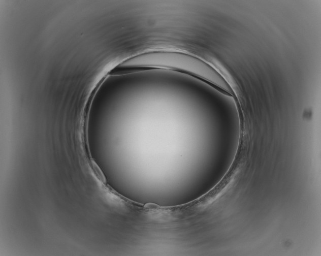 X0000091090909200708201454