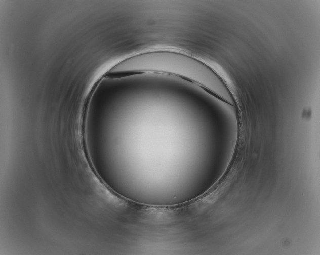 X0000091090910200708201454