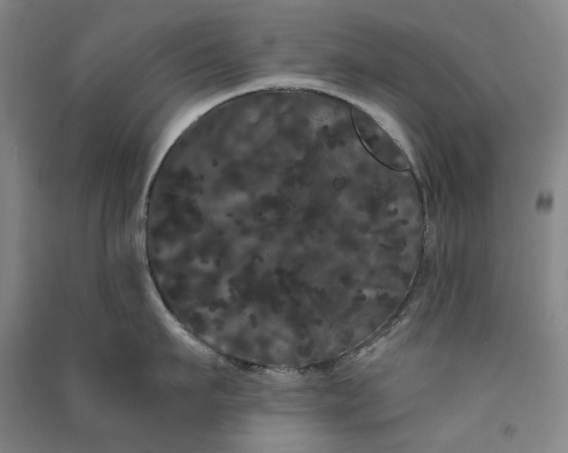 X0000091090911200708201454