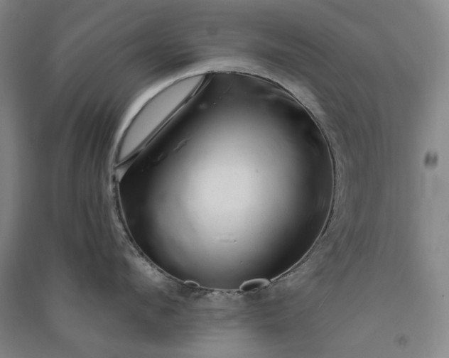 X0000091090912200708201454