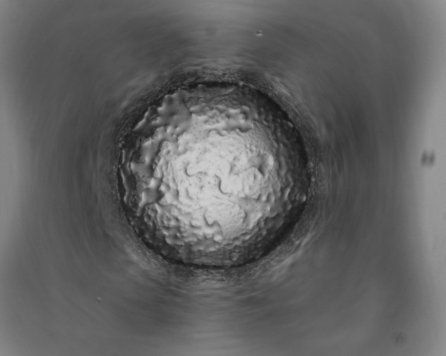 X0000091090913200708201454