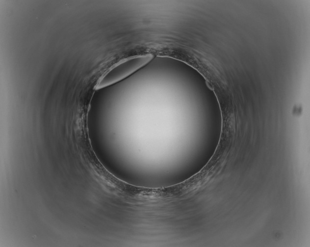 X0000091090914200708201454