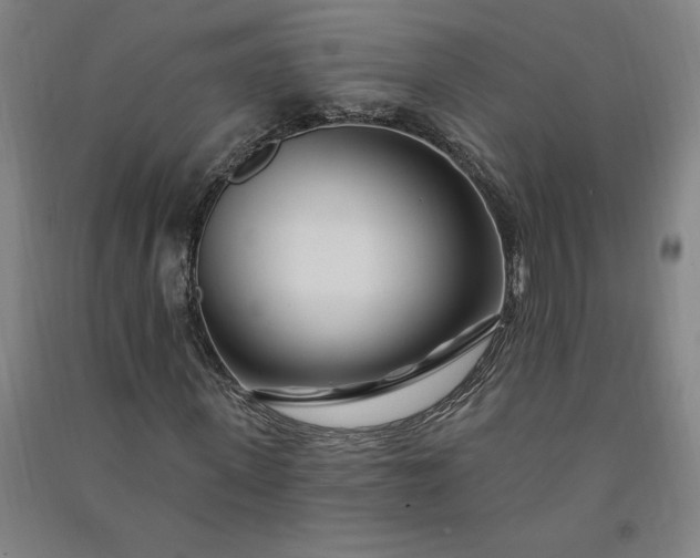 X0000091090915200708201454