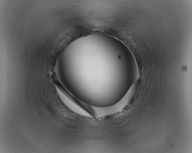 X0000091090916200708201454