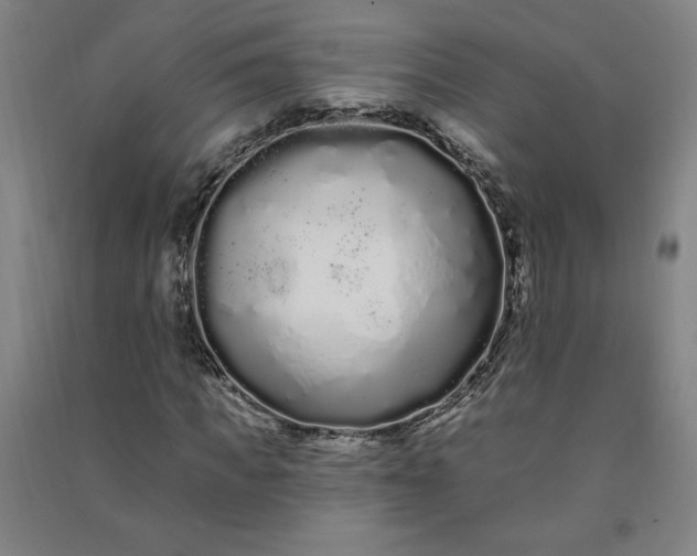 X0000091090917200708201454