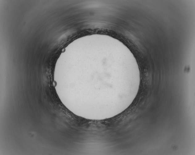 X0000091090918200708201454