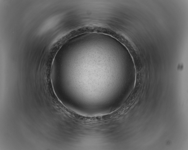 X0000091090919200708201454