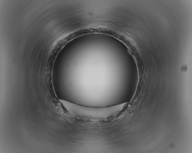 X0000091090920200708201454